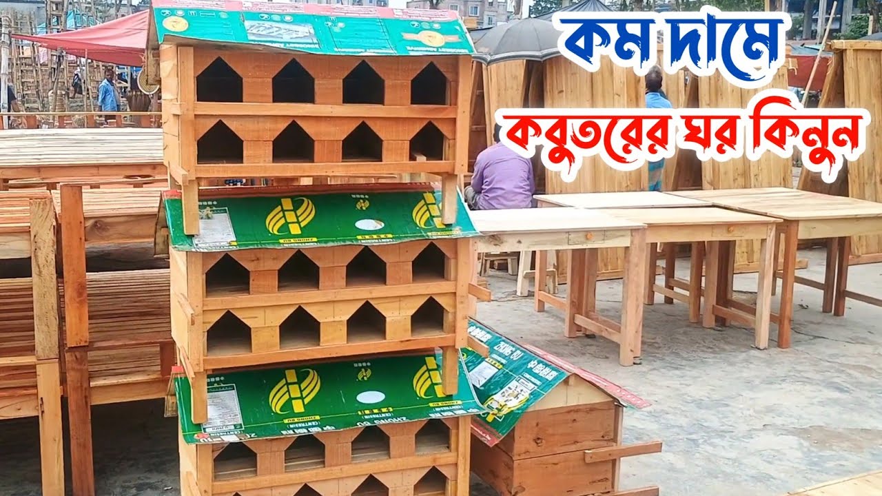 কম দামে ছোট কবুতরের ঘর কিনুন | Pigeon house price