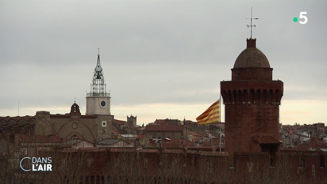 Municipales à Perpignan : une campagne plus nationale que locale - Reportage #cdanslair 21.02.2020