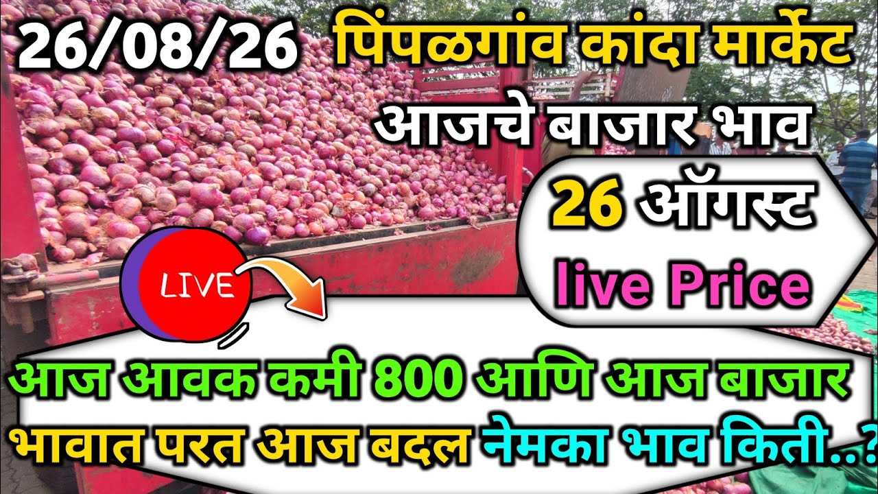 Pimpalgaon Onion Market Price Today:Latest Rates And Insights 26 August 2026