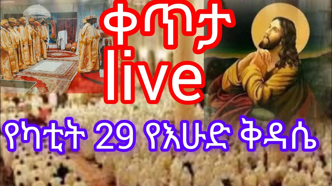 ቀጥታ/ live/ የካቲት 29 የእሁዱ ቅዳሴ