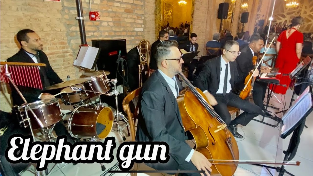 Elephant gun | Beirut | Instrumental | Uníssono músicos para casamentos | Villaggio Europeo |