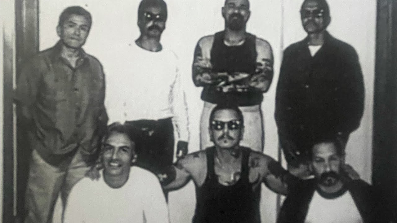 Tigre taking over the mafia