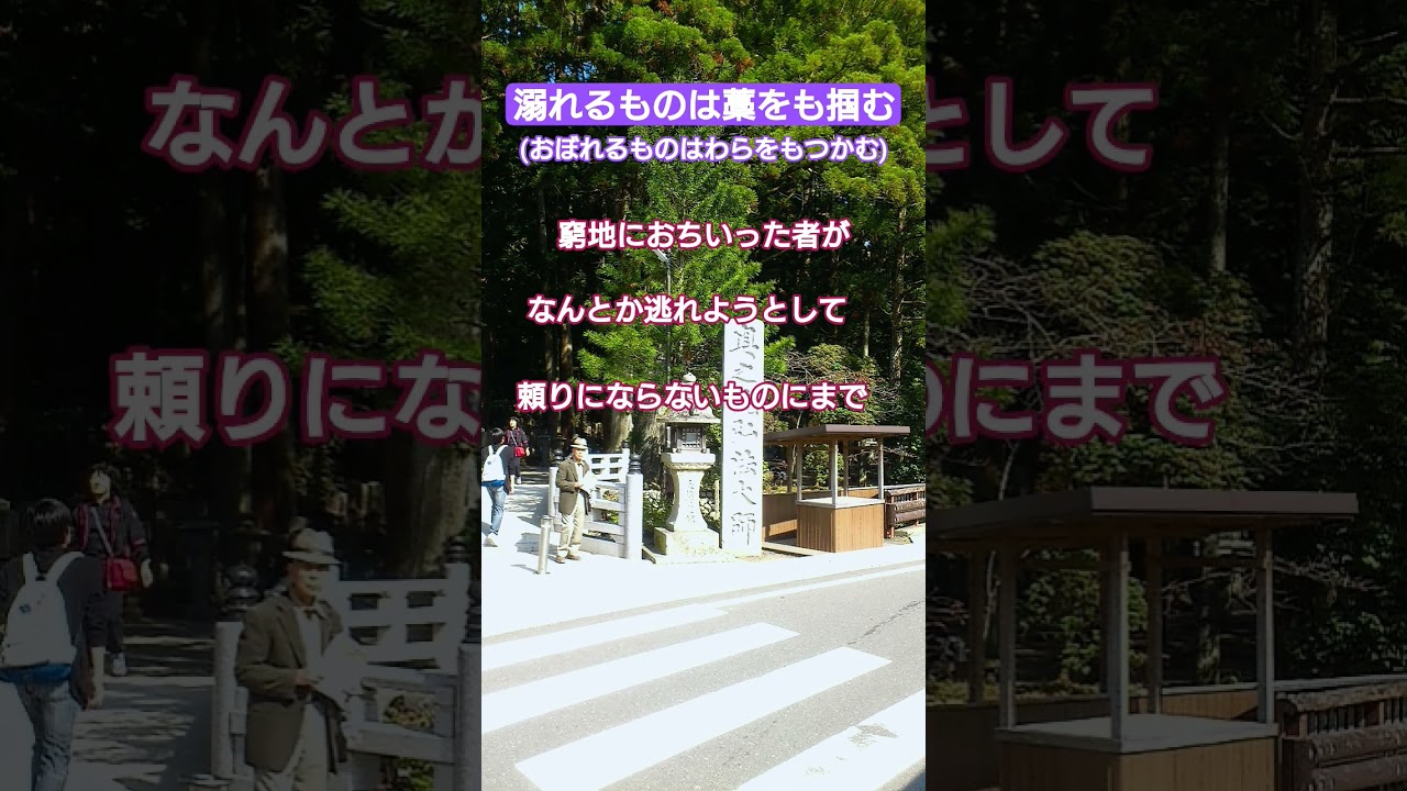 #ショート#ことわざ#溺れるものは#藁をも掴む#窮地#頼り#逃れる#すがる