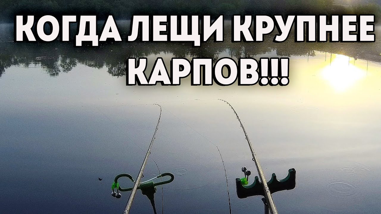 Нервным лучше не смотреть🐟🐟🐟.МОЩНЫЕ ПОКЛЕВКИ ЛЕЩА. Рыбалка на фидер.
