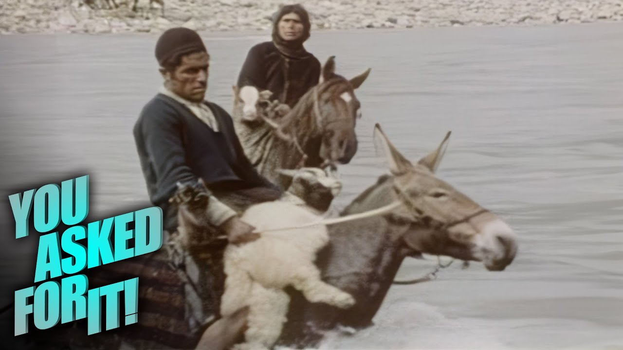 Epic Journey of the Bakhtiari: A Nomadic Trek Across Iran's Mountains