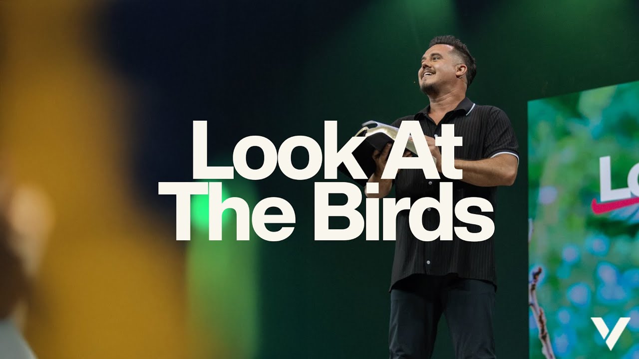 LOOK AT THE BIRDS | PAUL DAUGHERTY