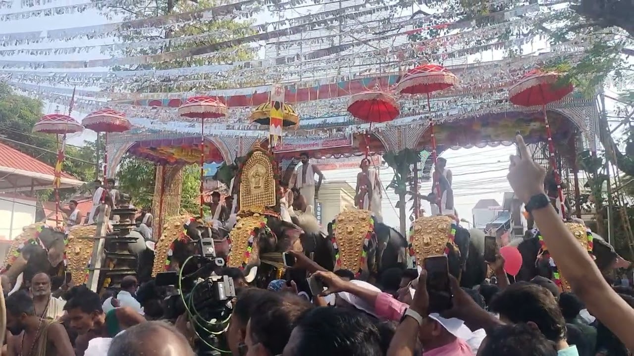 കൊടുങ്ങല്ലൂര്‍ താലപ്പൊലി 2026 #kodungallurdevitemple #kodungalloor #kodungallurthalappoli #shortfeed