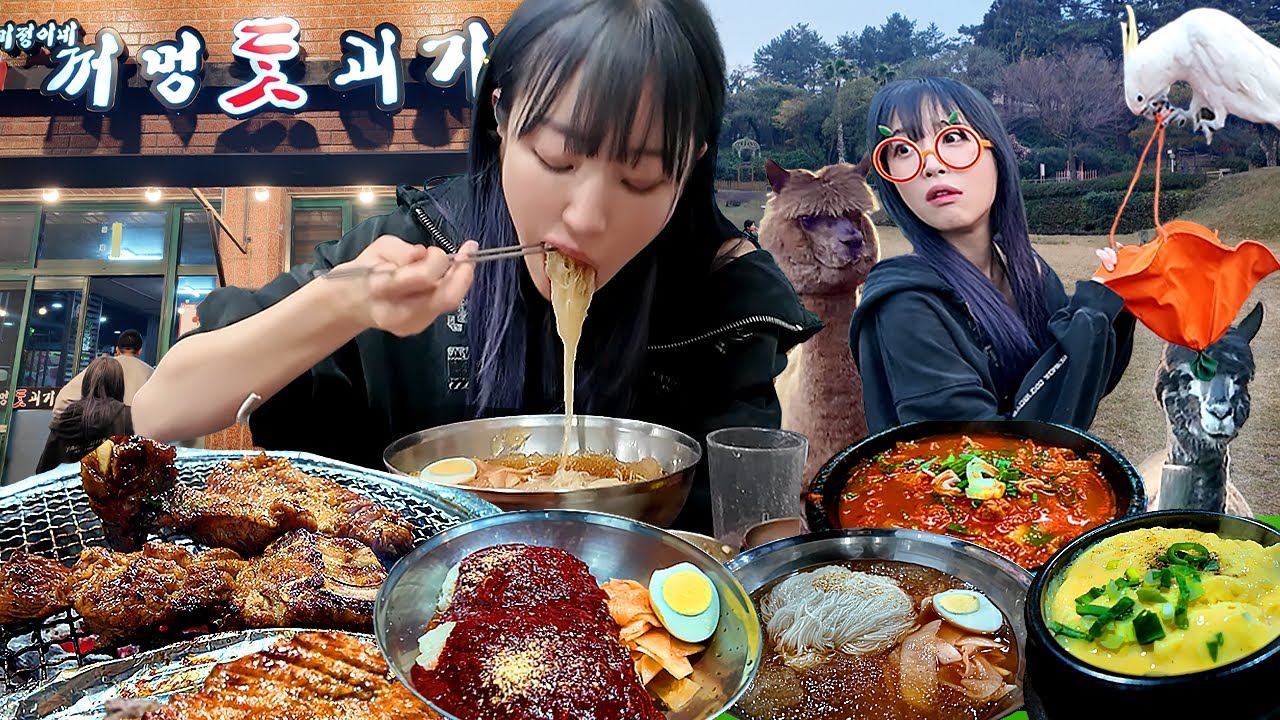 제주도에서 찐맛집을 찾았습니다🥹 그리고 알파카한테 침맞은썰..제주 브이로그1탄