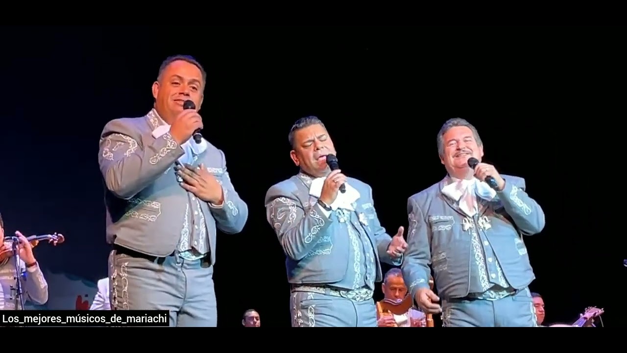 Mariachi Los Camperos 