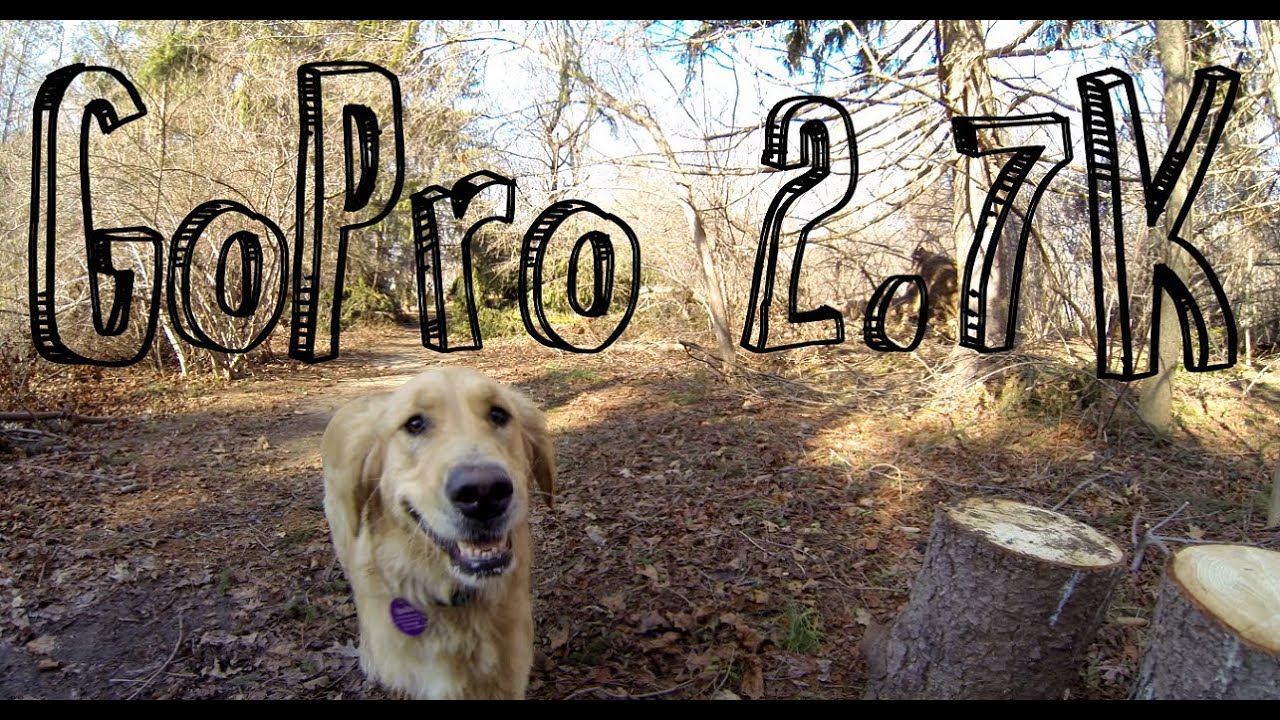 GoPro HERO3 2.7K with Steadicam Smoothee