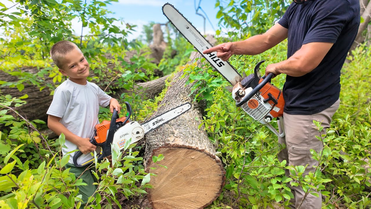 We're back Cutting Firewood and it Feels Good.