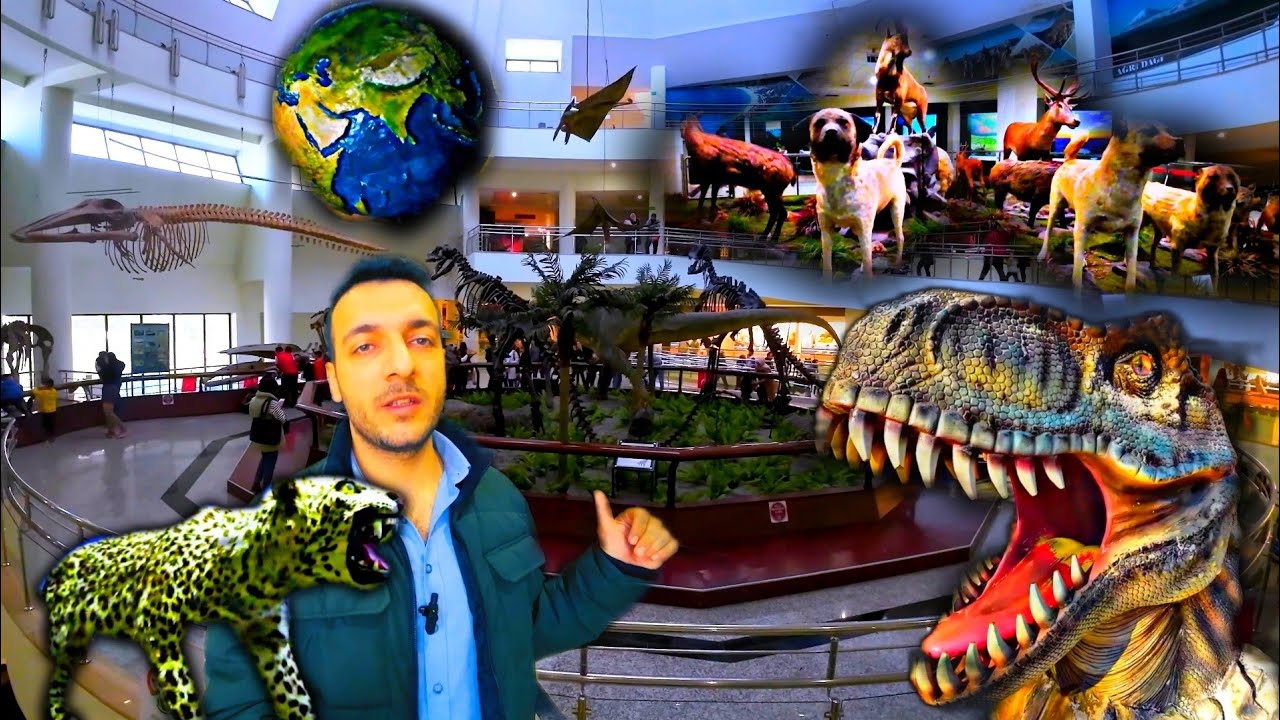 MTA Tabiat Parkı Müzesi / Ankarada Gezilecek Yerler