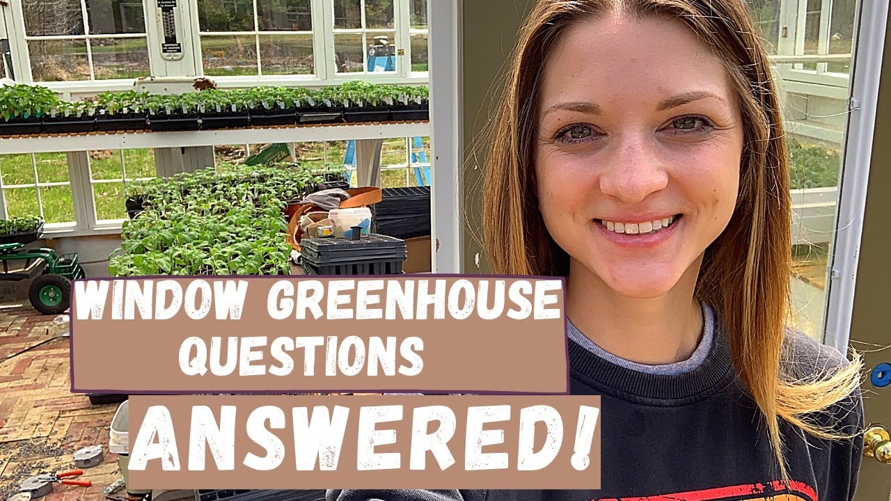 Window Greenhouse Questions ANSWERED!