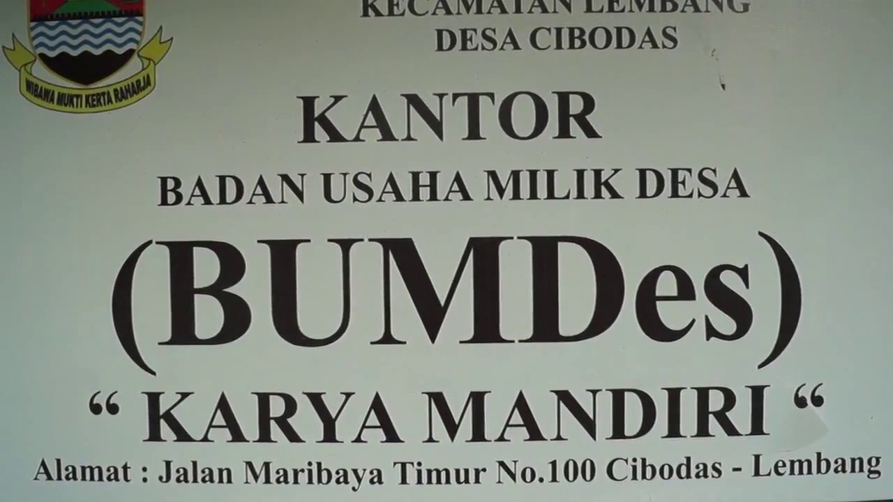 BUMDES Percontohan