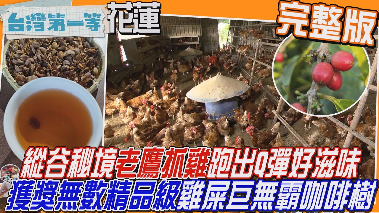 [全新] 花蓮【縱谷秘境