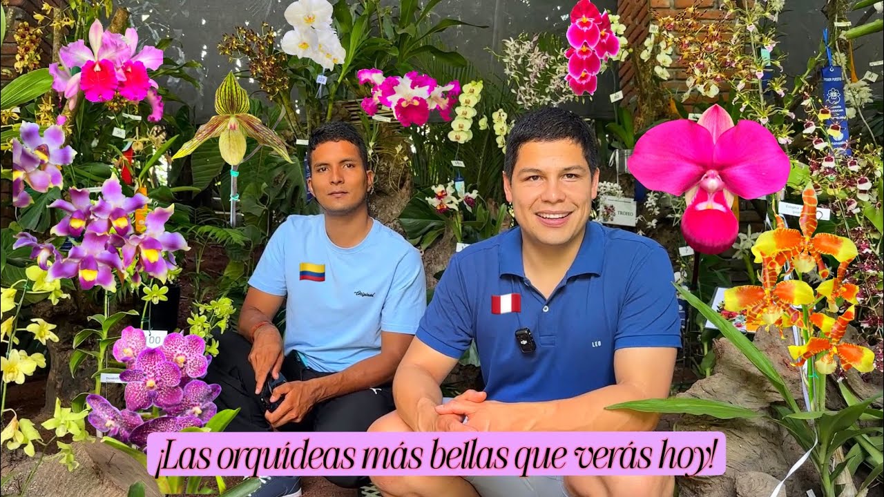 PERU nos VISITA EN LA EXPOSICION DE ORQUIDEAS, Cali Colombia
