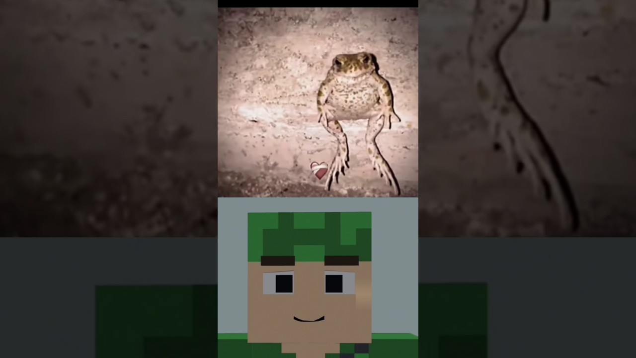 bombastic minecraft soldier 29 