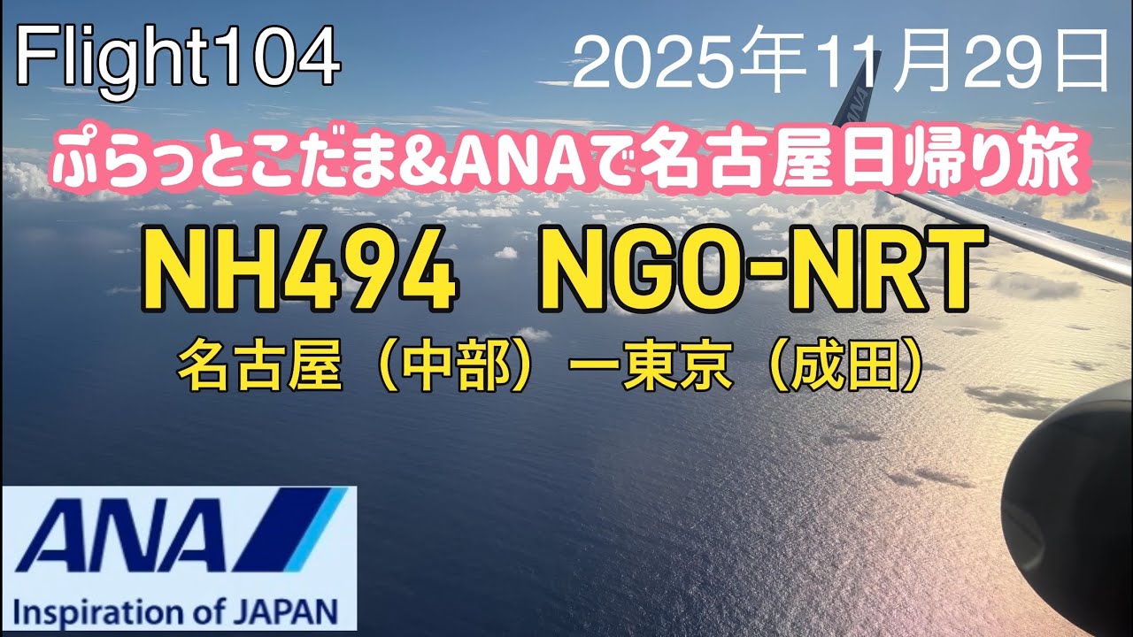 2025 Flight104 名古屋（中部）〜東京（成田）ANA494便で戻りフライト、名古屋行きはぷらっとこだまでのんびりと、絶品うなぎをいただく日帰り旅　21:40天使のはしご有ります