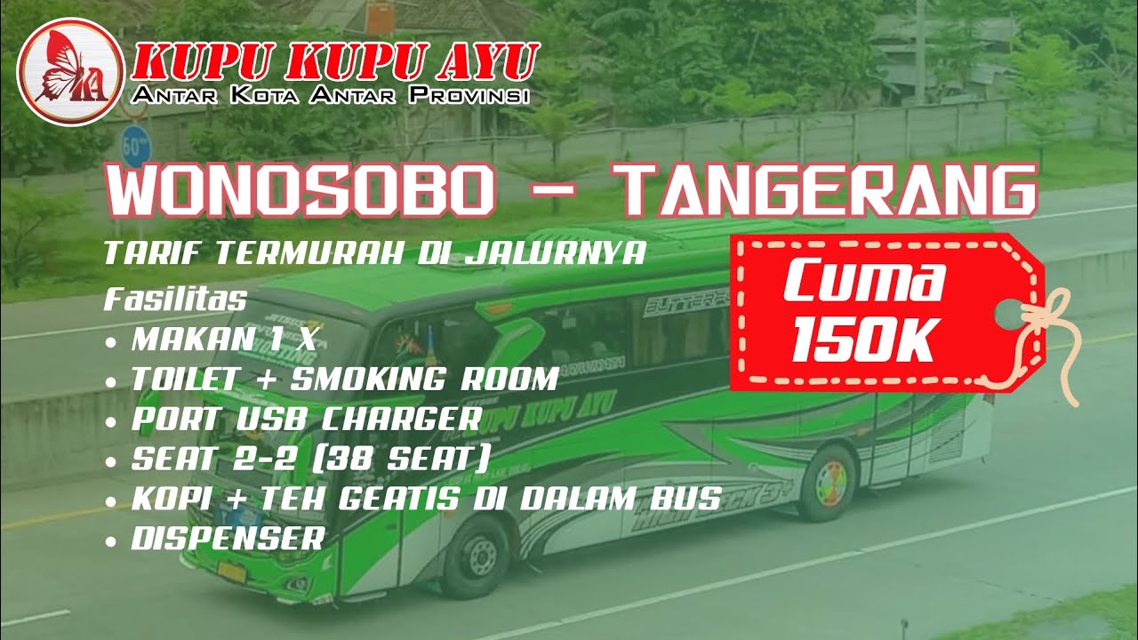 TARIF TERMURAH DI JALURNYA || KUPU KUPU AYU || WONOSOBO - TANGERANG