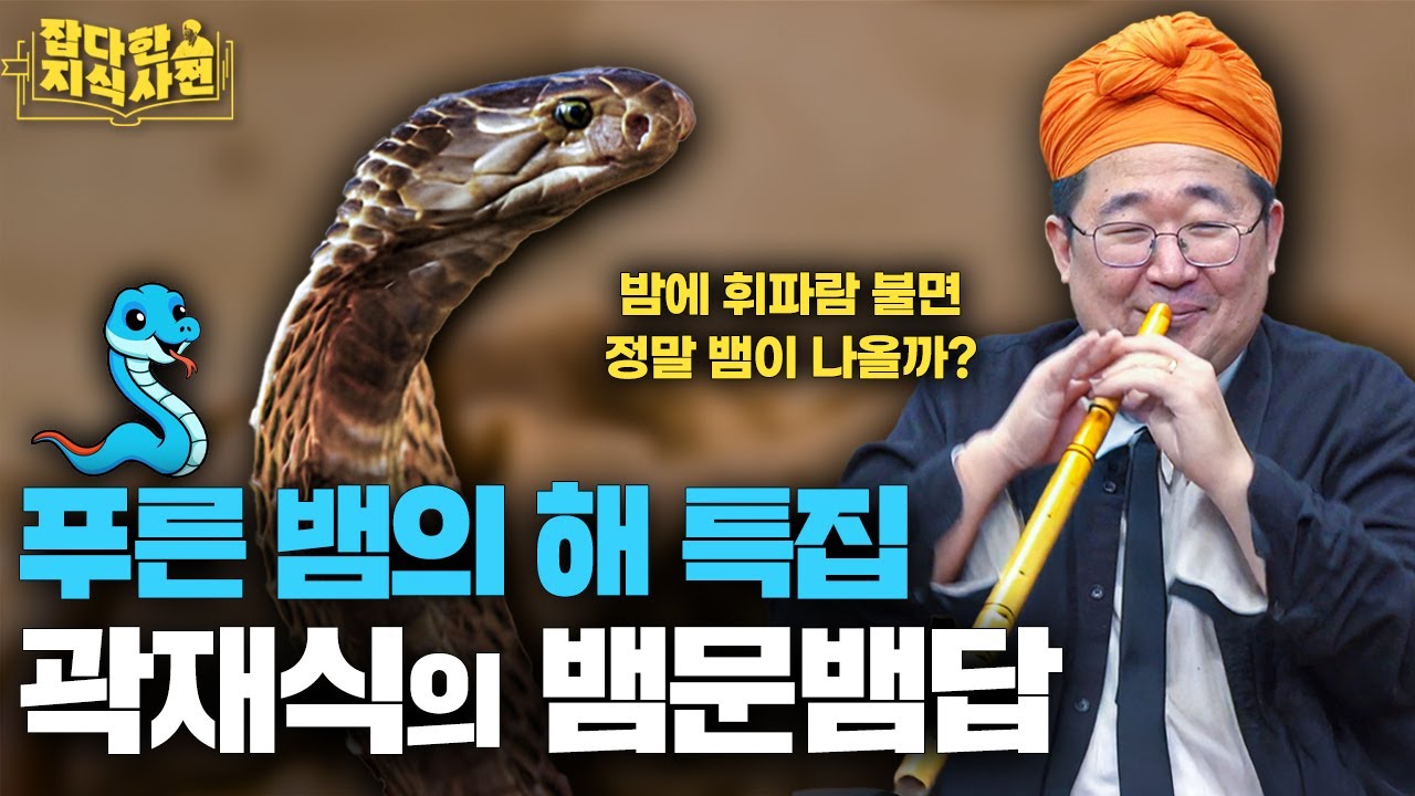 사람이 뱀을 무서워하는 건 본능일까 학습일까? / 곽재식과 뱀 중 누가 더 혀를 잘 놀릴까? 🐍
