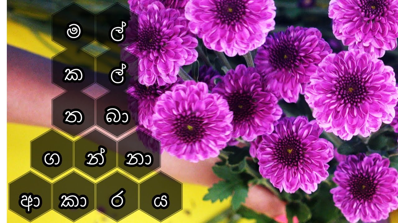 How to Make Flowers Last Longer (මල් කල් තබා ගන්නා ආකාරය)