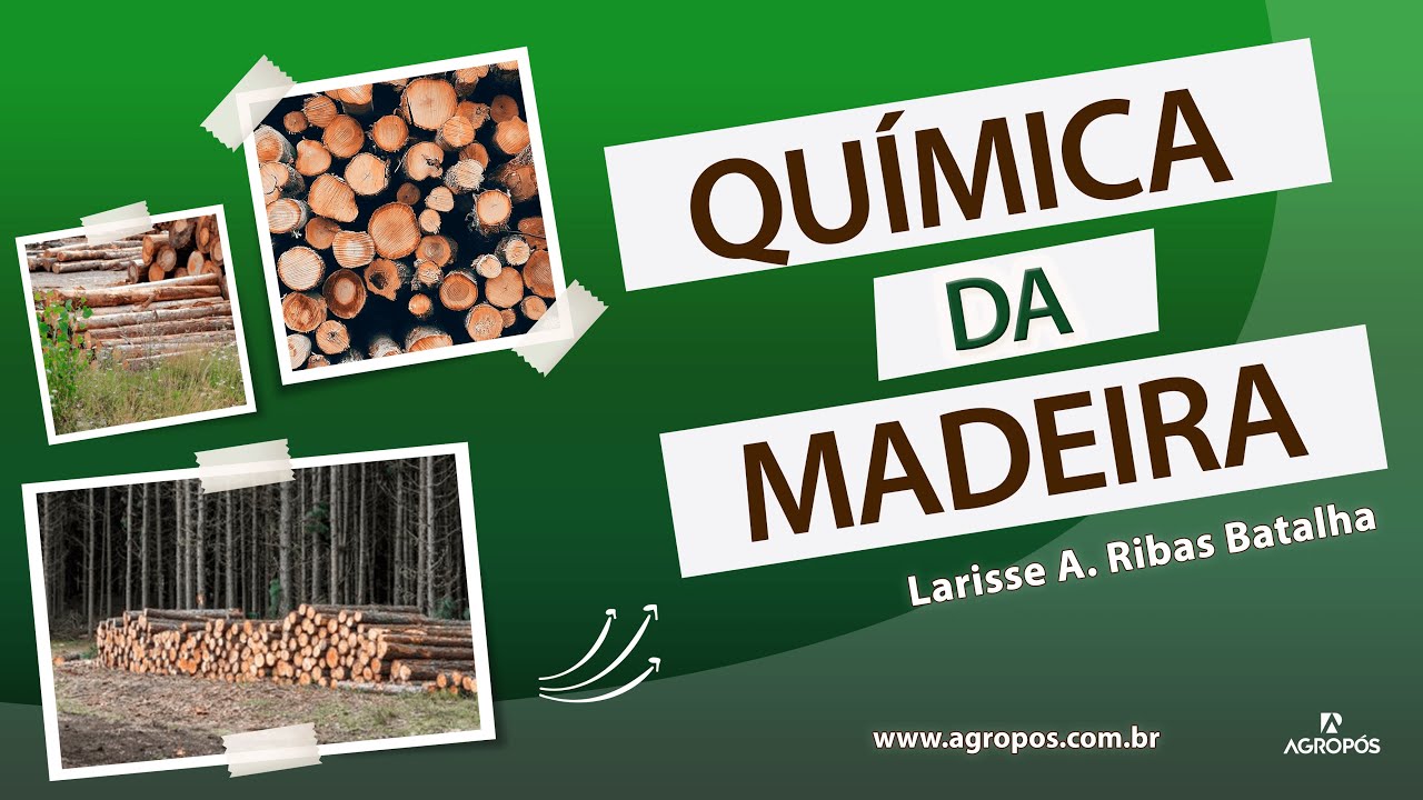 Química da Madeira