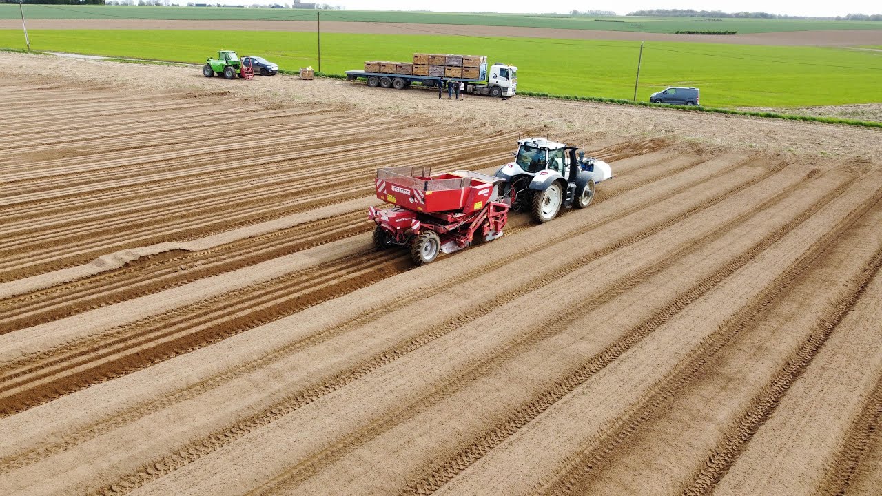 PREPARATION + PLANTATION de POMMES de TERRE