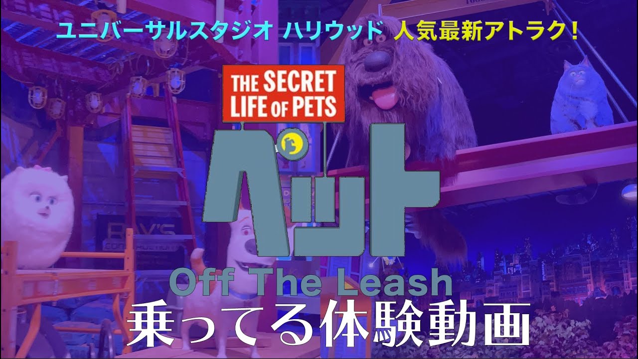 【USH】人気最新アトラクション：ペット乗ってる体験動画【POV】