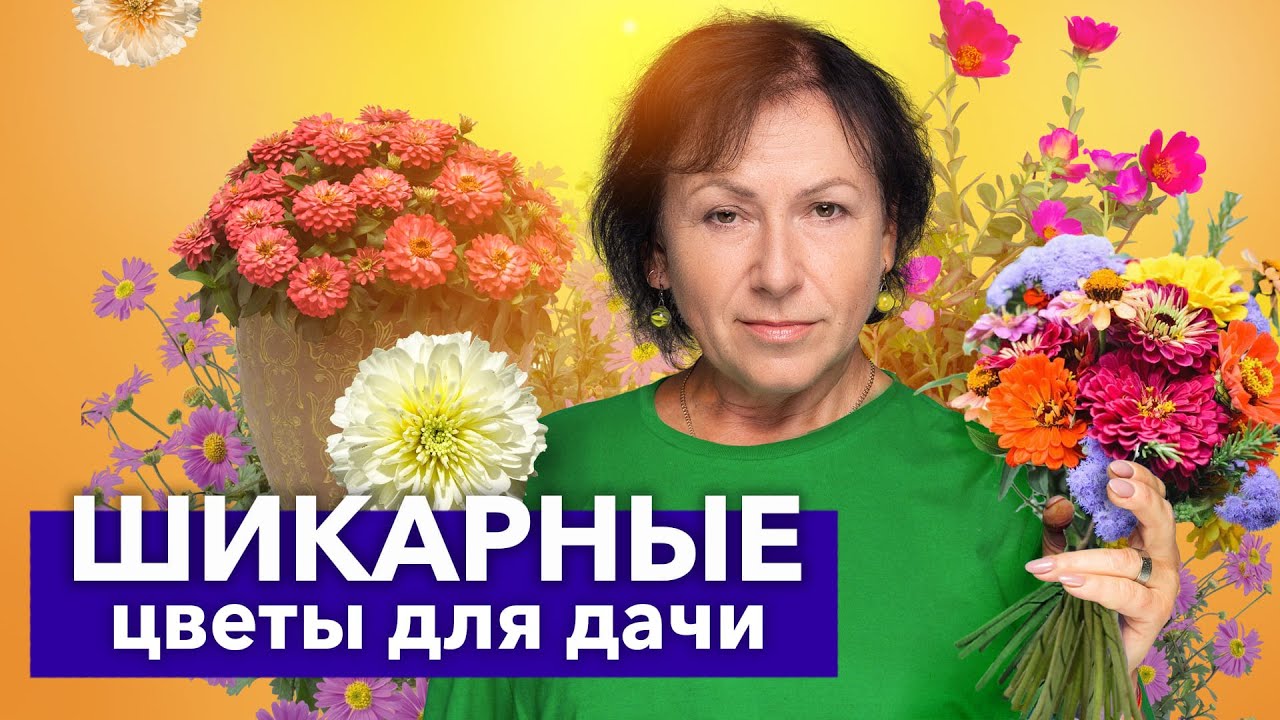 ТОП-10 ОДНОЛЕТНИХ ЦВЕТОВ, которые покорят ваше сердце и не доставят хлопот