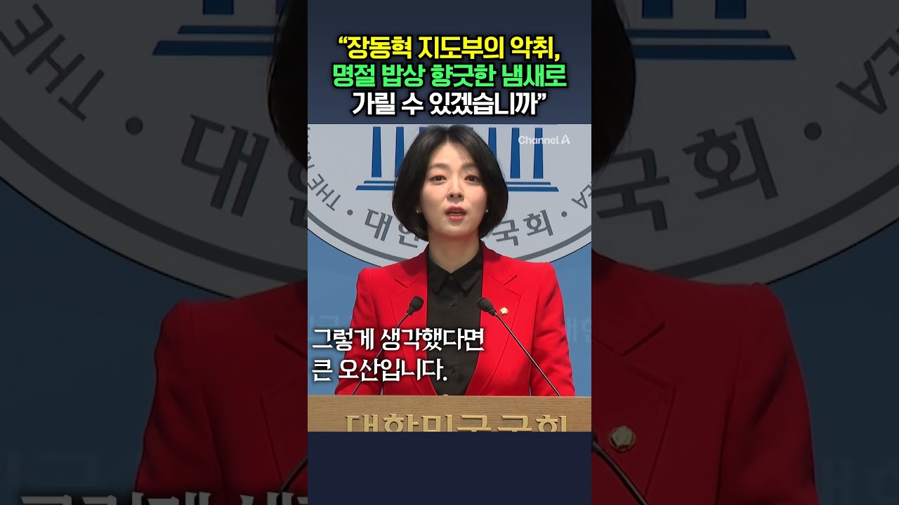 배현진 긴급 기자회견 