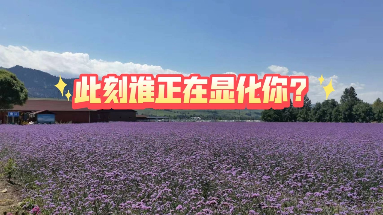 此刻谁正在显化你？(不限时空  不限关系)