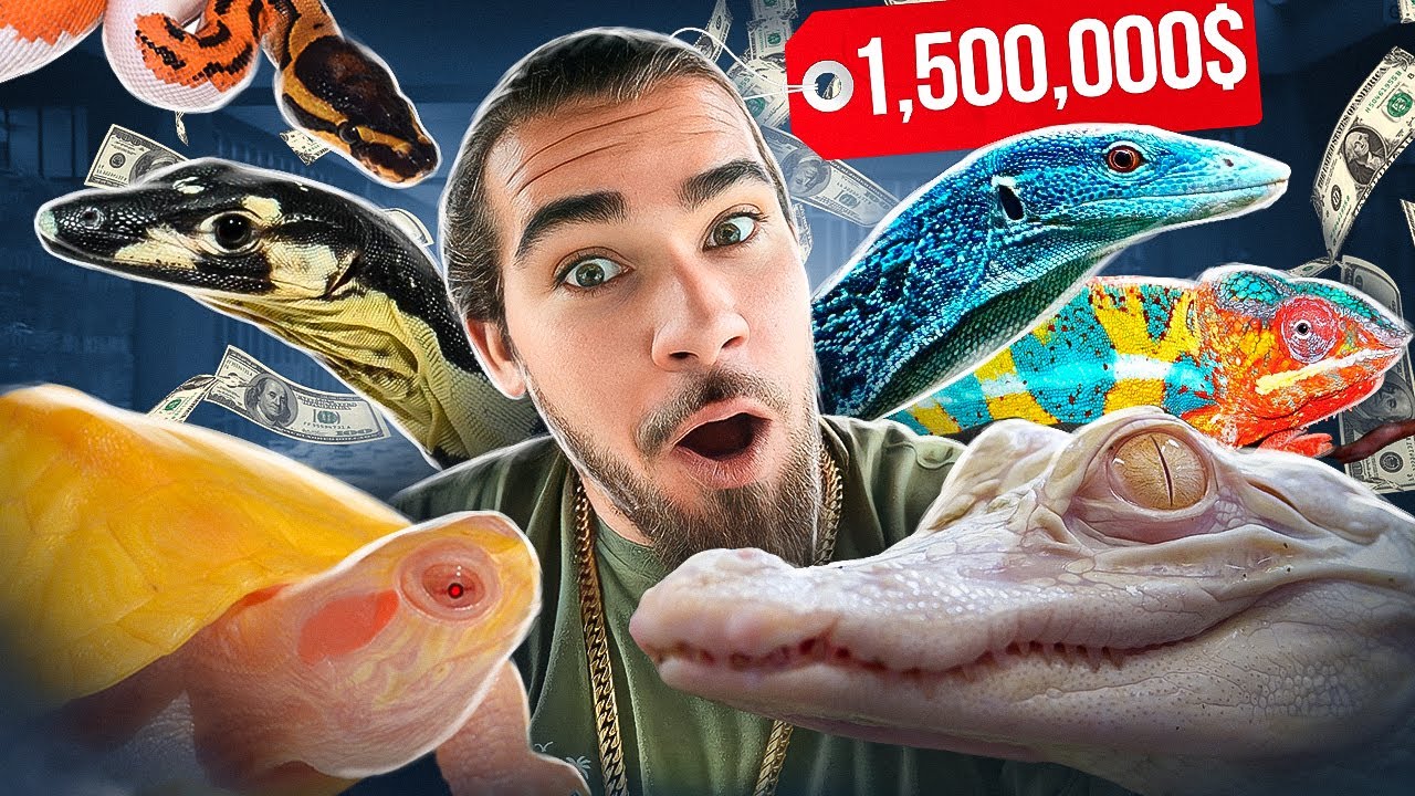 $1,500,000 in REPTILES at the Daytona Reptile EXPO!!!
