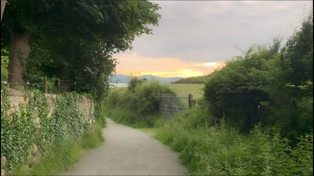 a quiet playlist for a quiet days 🍀 (reading, writing & studying)
