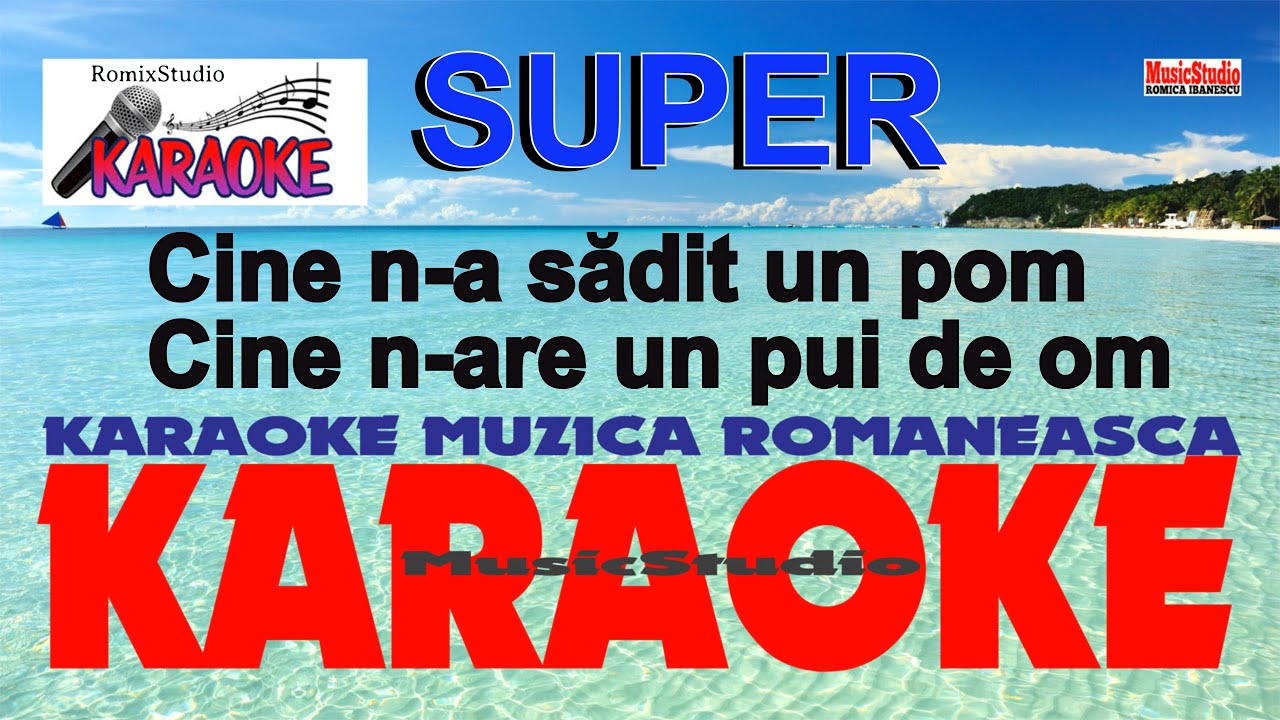 Cine n-a sădit un pom, cine n-are un pui de om - Karaoke | Versuri | Negativ -  Karaoke moldovenești