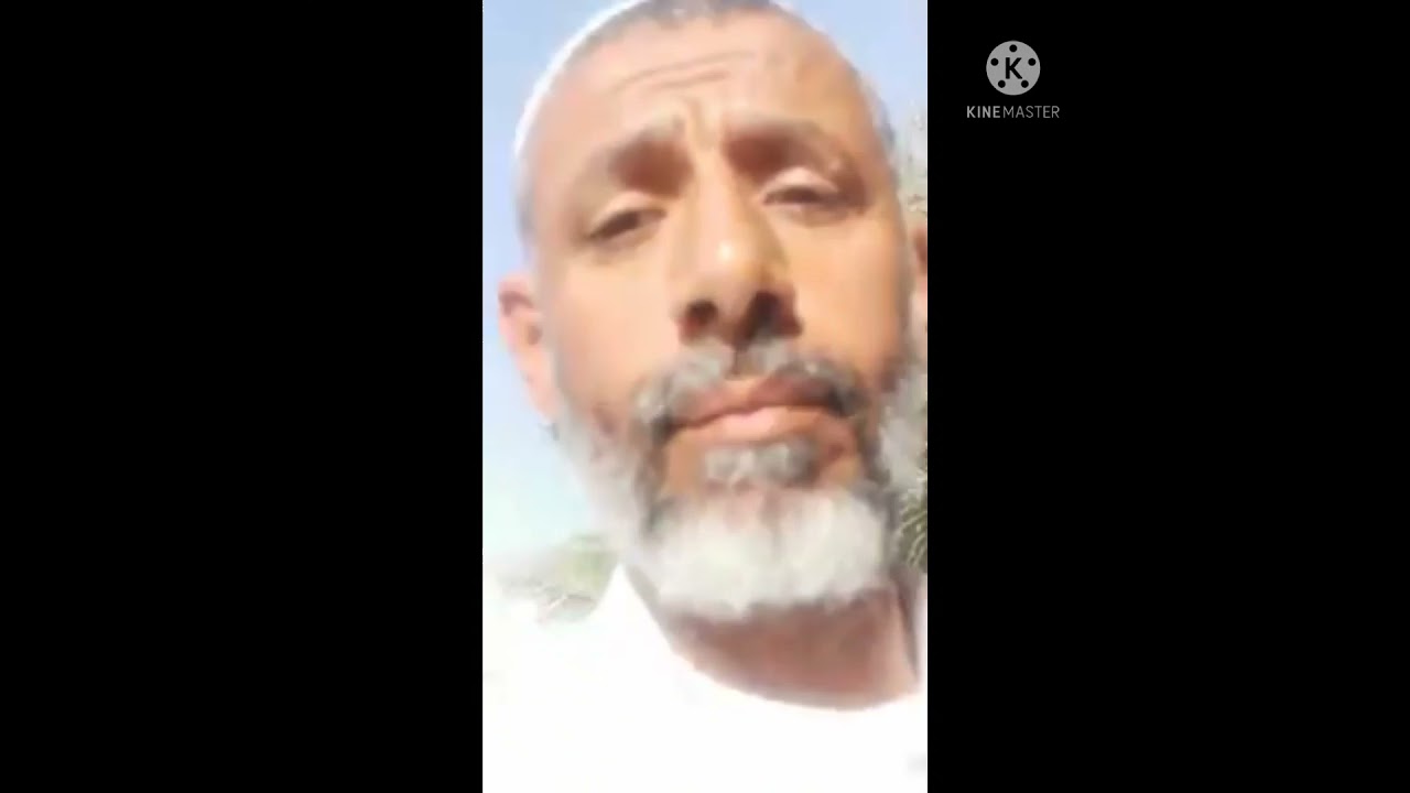 8افهم لغة النحل