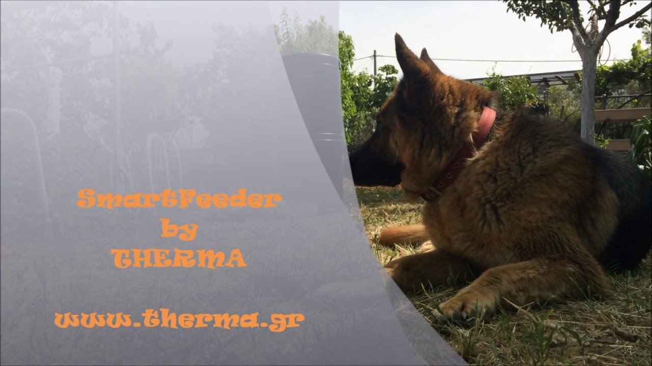 ΑΥΤΟΜΑΤΗ ΤΑΙΣΤΡΑ - SmartFeeder by THERMA