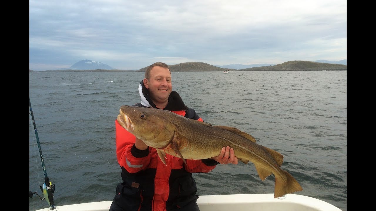 Zeevissen in Hestoysund - Helgeland (Noord Noorwegen)