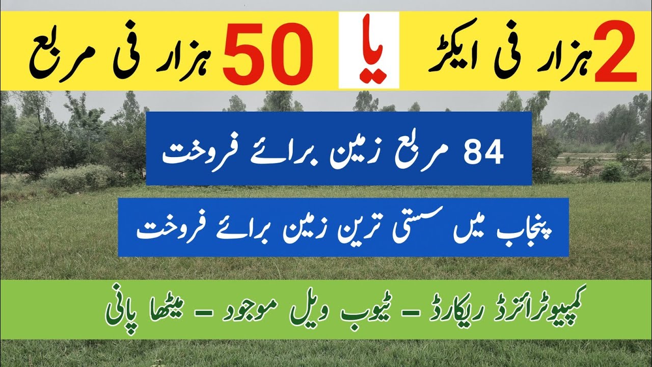 Agriculture land for sale in Punjab Pakistan | agriculture land for sale | zameen for sale