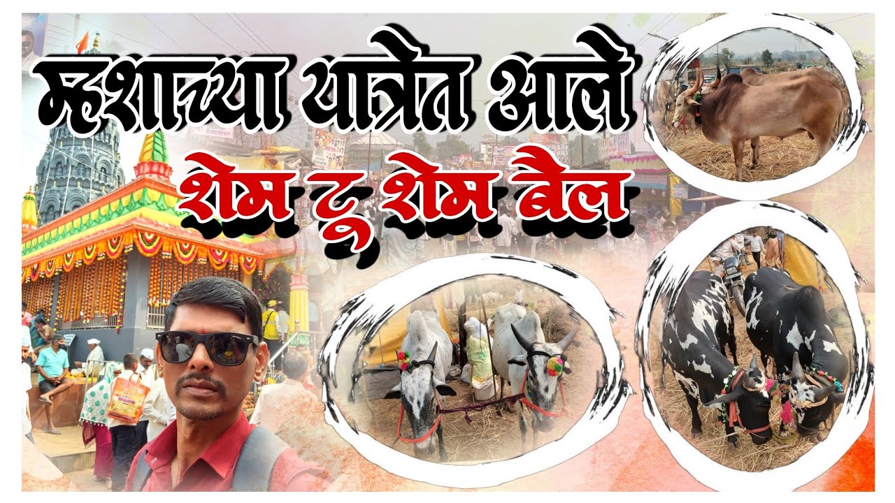 म्हसा बैल बाजार २०२६ vlog 2| खांबळींगेश्वर दर्शन | #vlog #mhasa yatra #Mazya paulkhuna vlog