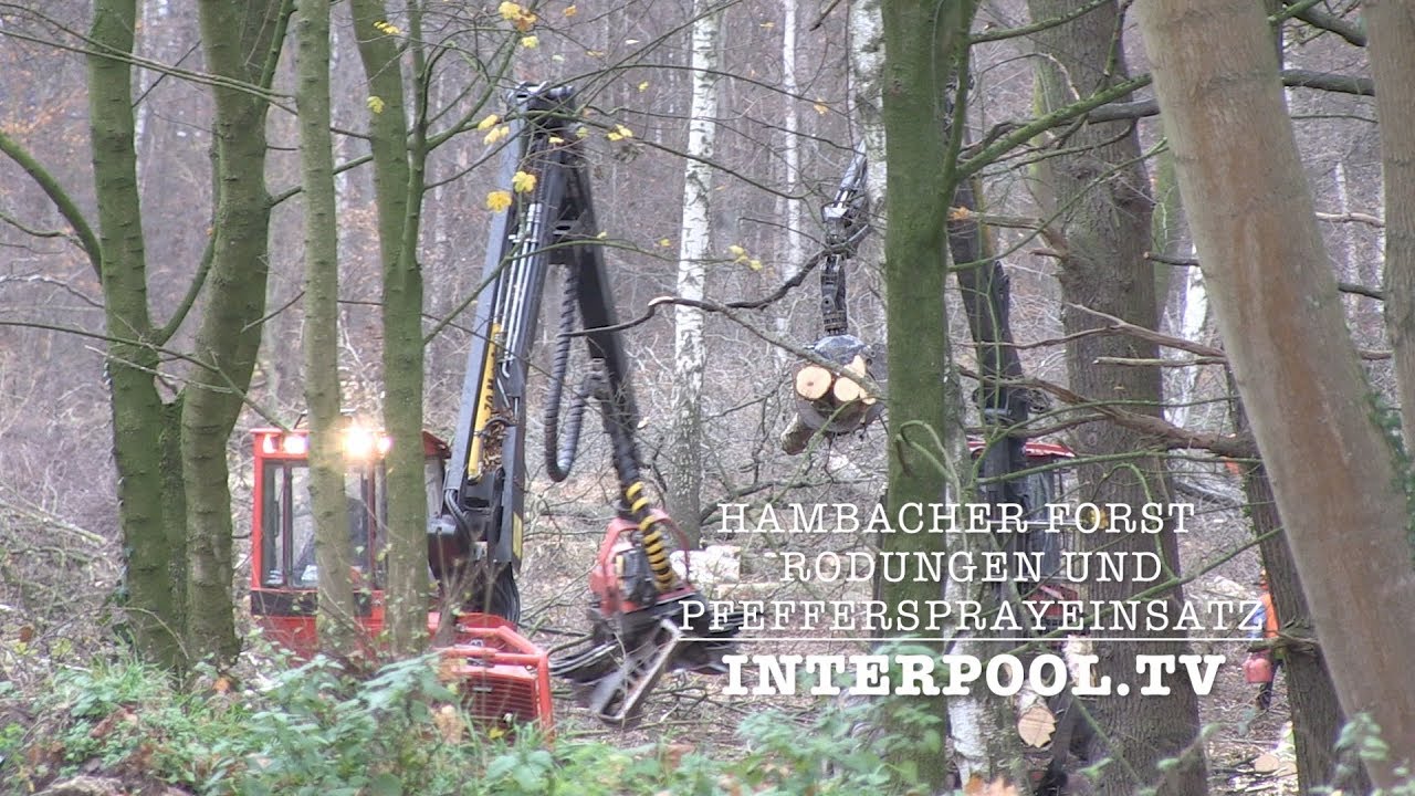 Hambacher Forst: Rodungen und Pfeffersprayeinsatz (27.11.2017)