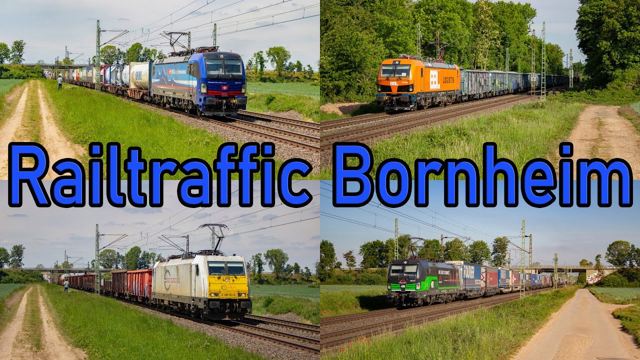 Railtraffic in Bornheim! Back to Germany! [4K]