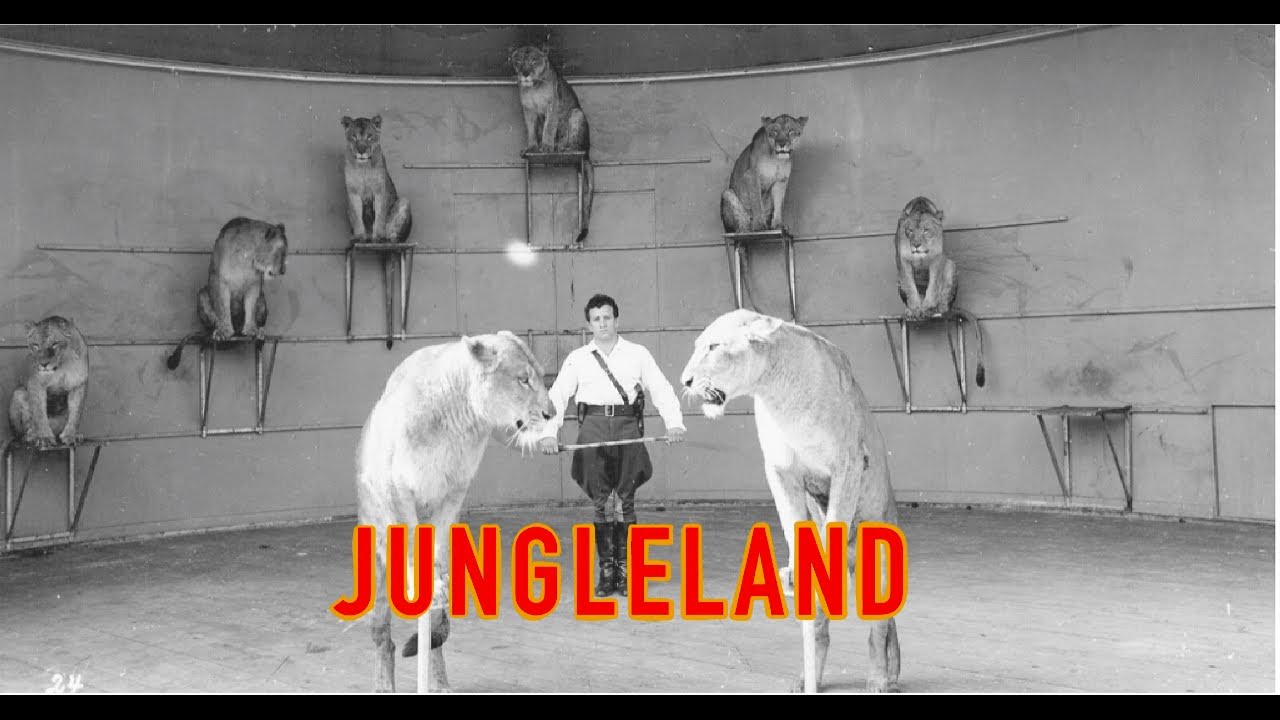 The Rise and Fall of Jungleland