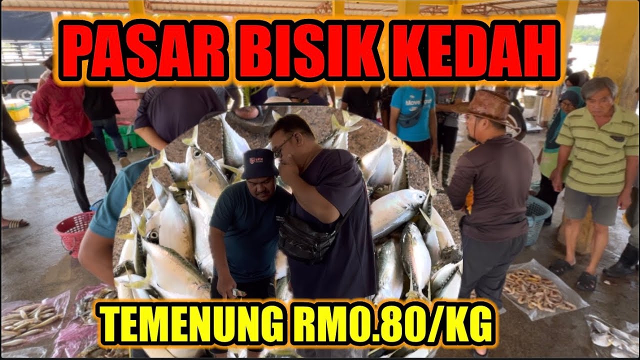 PASAR BISIK KOTA KUALA MUDA KEDAH, PASAR RARE TAWAR MENAWAR IKAN, MURAH, IKAN SEGAR, UDANG KASAR !!!