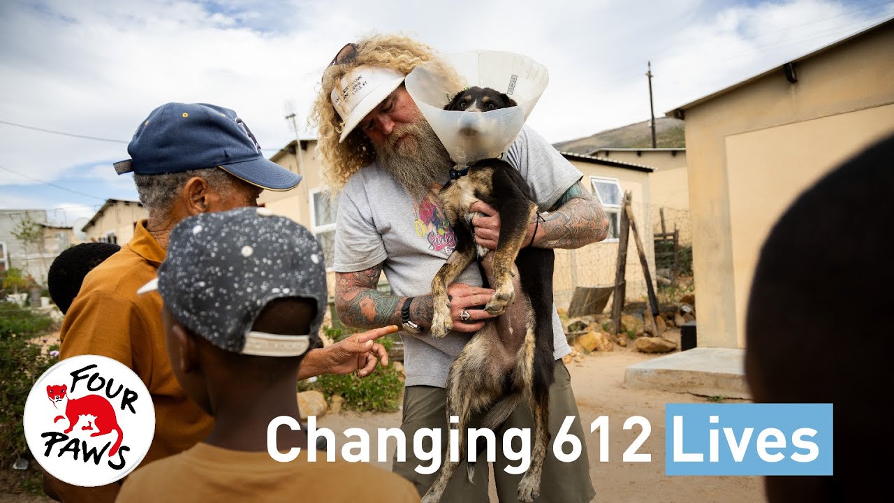 Changing 612 Lives | FOUR PAWS South Africa | [SUBS]