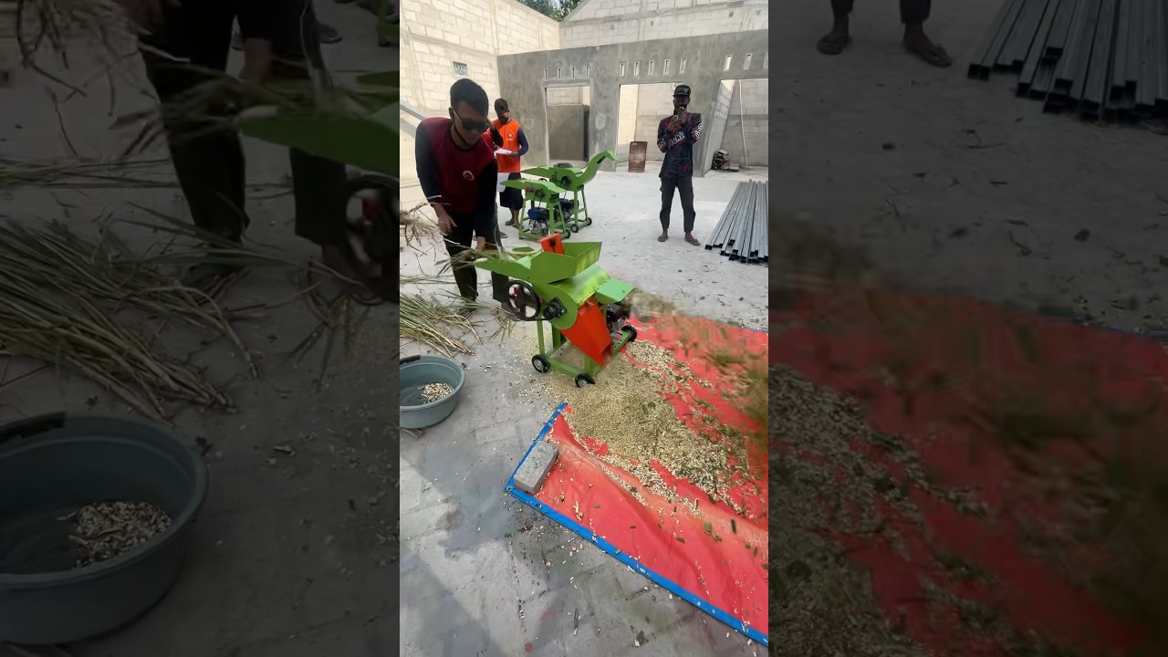 Uji coba mesin chopper rumput multifungsi 2 in 1 #mesincacahrumput