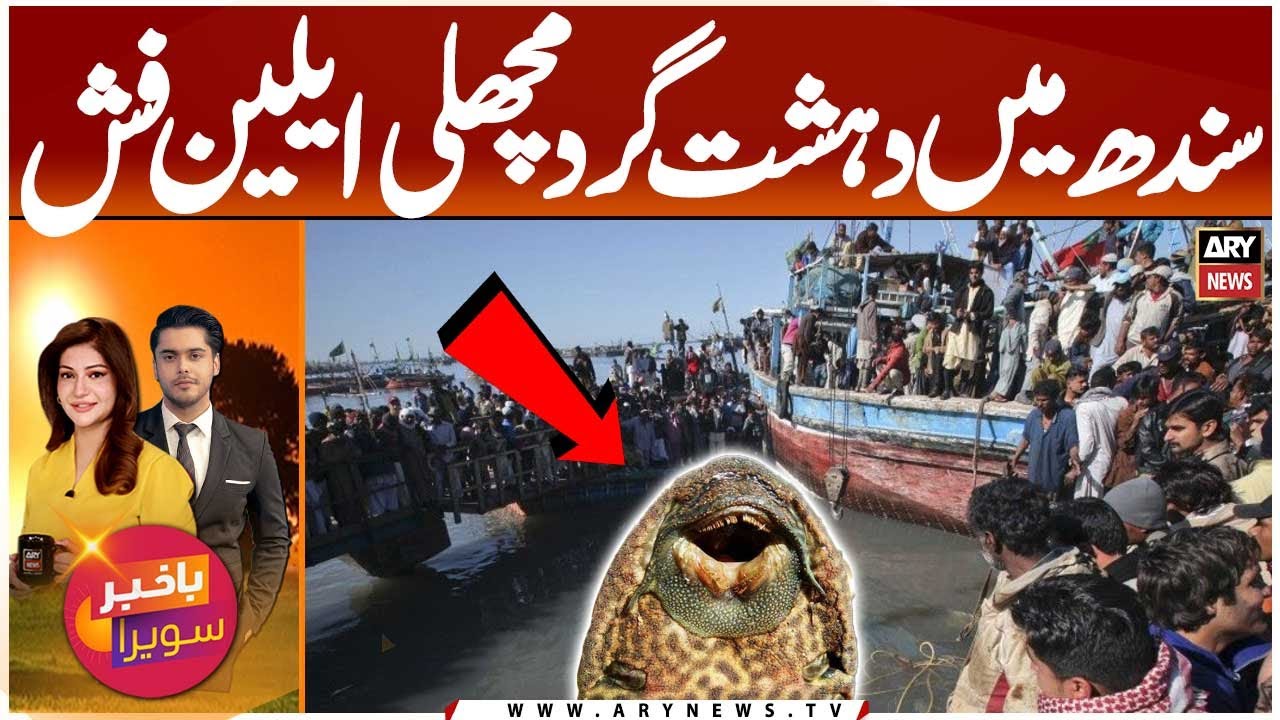 Alien Fish Found in Sindh Waters