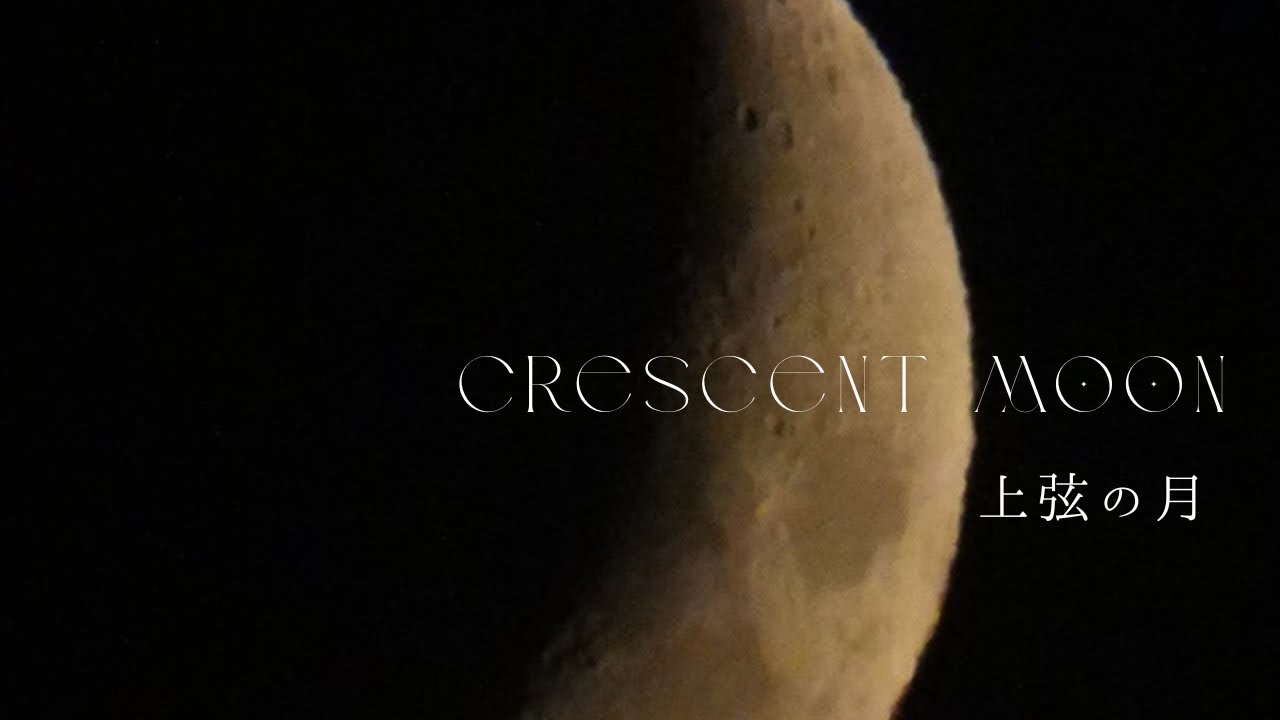 上弦の月｜見上げた夜空に余白の月🌙 .𖥔 ݁ ˖