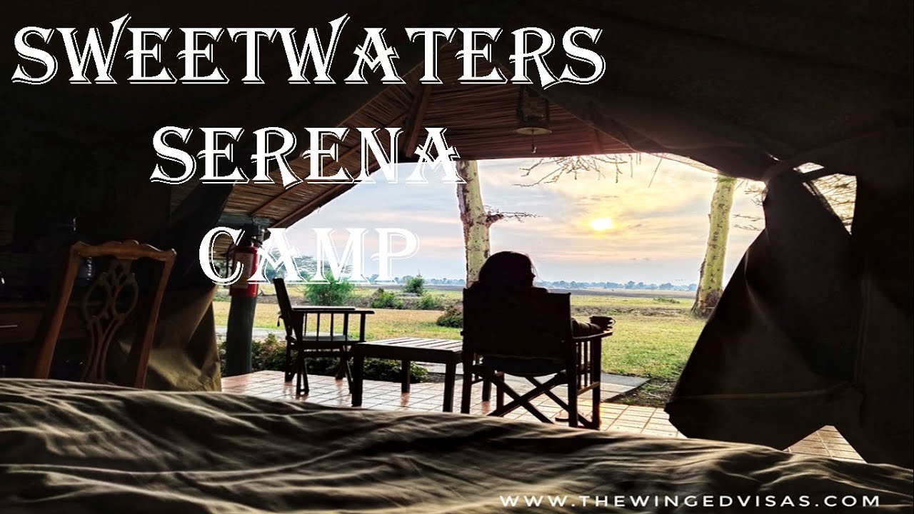 Обзор палаточных лагерей Serena Sweetwaters | Лагерь Sweetwaters Serena | Кения 2021 | The Winged Visas