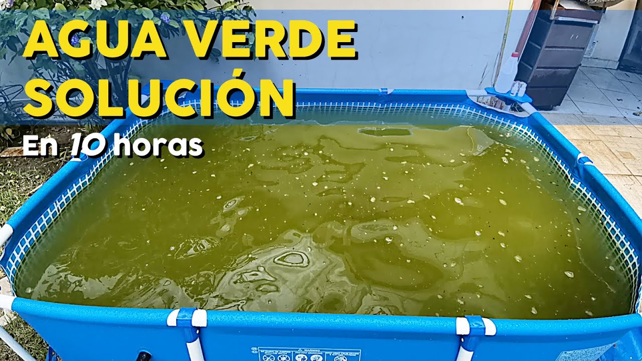 COMO TRATAR EL AGUA VERDE EN 10 HORAS