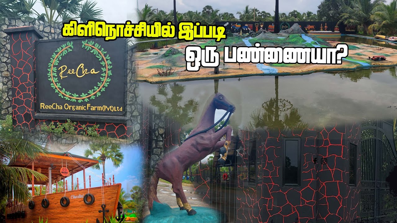 𝐑𝐞𝐞𝐂𝐡𝐚 𝐎𝐫𝐠𝐚𝐧𝐢𝐜 𝐅𝐚𝐫𝐦 | 𝐈𝐲𝐚𝐤𝐚𝐜𝐡𝐜𝐡𝐢 | 𝐊𝐢𝐥𝐢𝐧𝐨𝐜𝐡𝐜𝐡𝐢 | 𝐒𝐋 𝐕𝐥𝐨𝐠𝐞𝐫